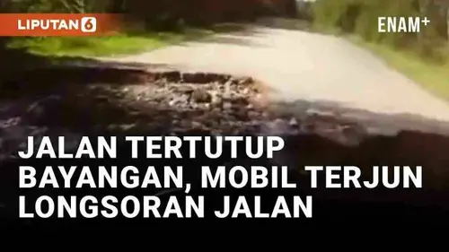 VIDEO: Pemobil Apes Saat Melintas di Jalan Tertutup Bayangan, Terjun ke Jalan Longsor